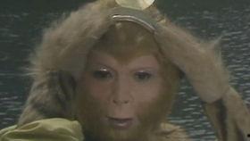 紧箍咒搞笑版视频,孙悟空的“金箍圈”变“金箍圈圈”